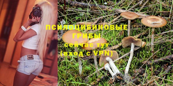 стаф Володарск
