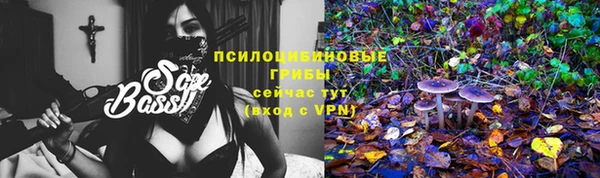 стаф Володарск