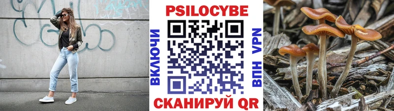 Галлюциногенные грибы Psilocybine cubensis  Яхрома 